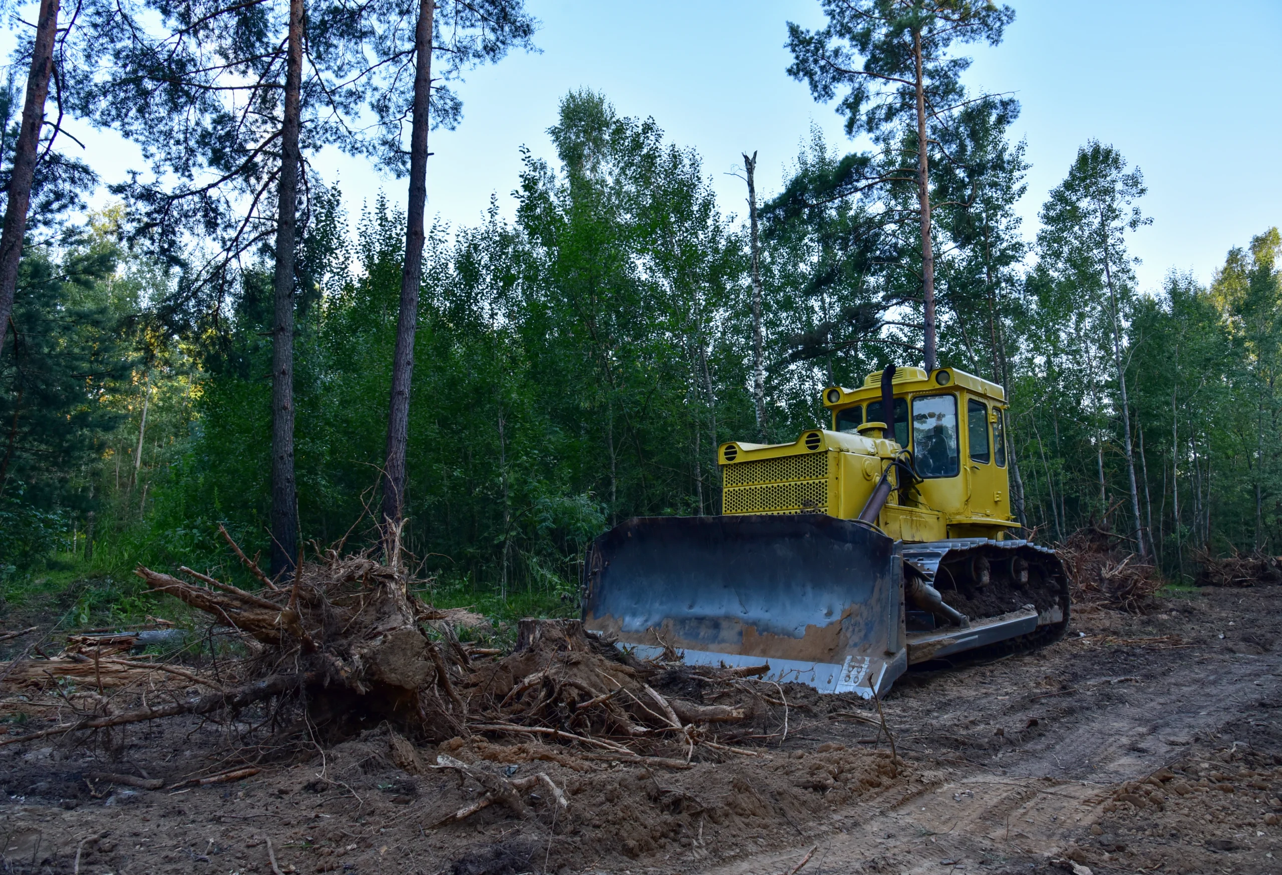 A land clearing project our crew recently completed.